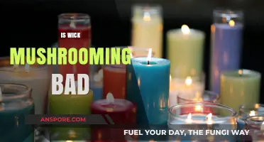 Is Wick Mushrooming Harmful? Exploring the Pros and Cons