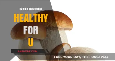 Are Wild Mushrooms Healthy? Unveiling Nutritional Benefits and Risks