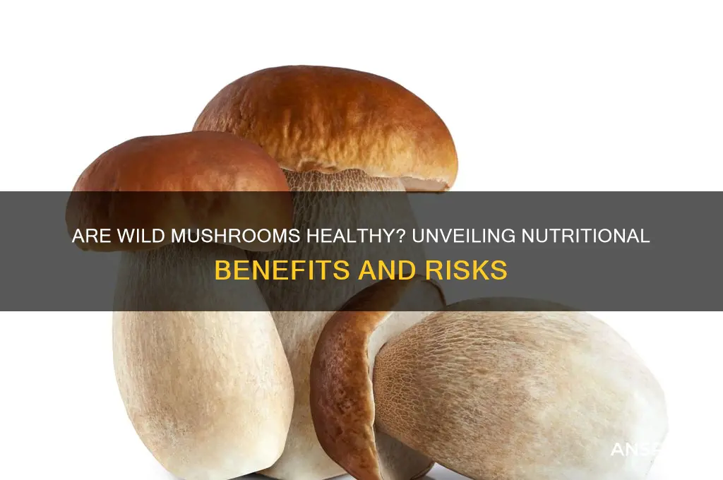 is wild mushroom healthy for u