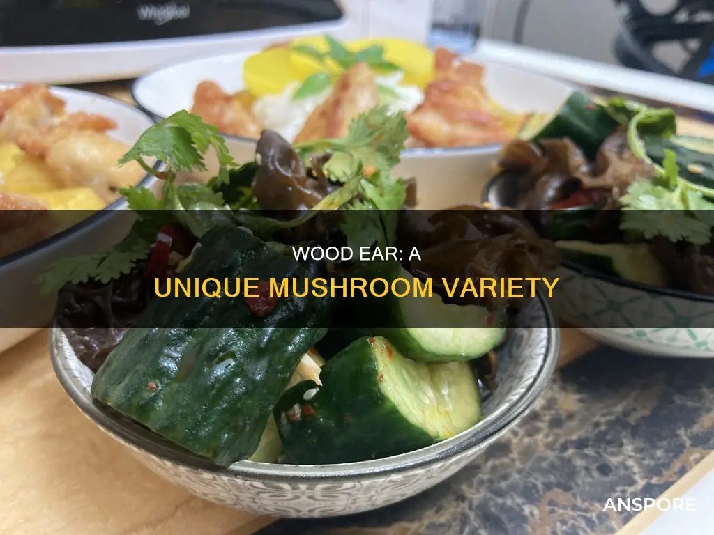 is wood ear a mushroom