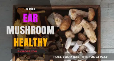 Wood Ear Mushroom: Healthy Superfood or Fad?
