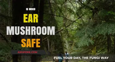 Wood Ear Mushroom Safety: Is It Safe to Eat?