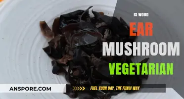 Wood Ear Mushroom: A Vegetarian's Delight
