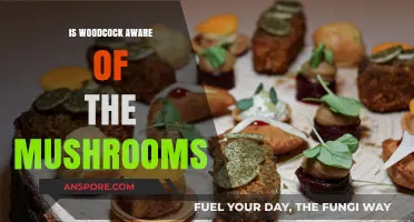 Woodcock's Awareness of Mushrooms: Unveiling the Forest's Hidden Connection