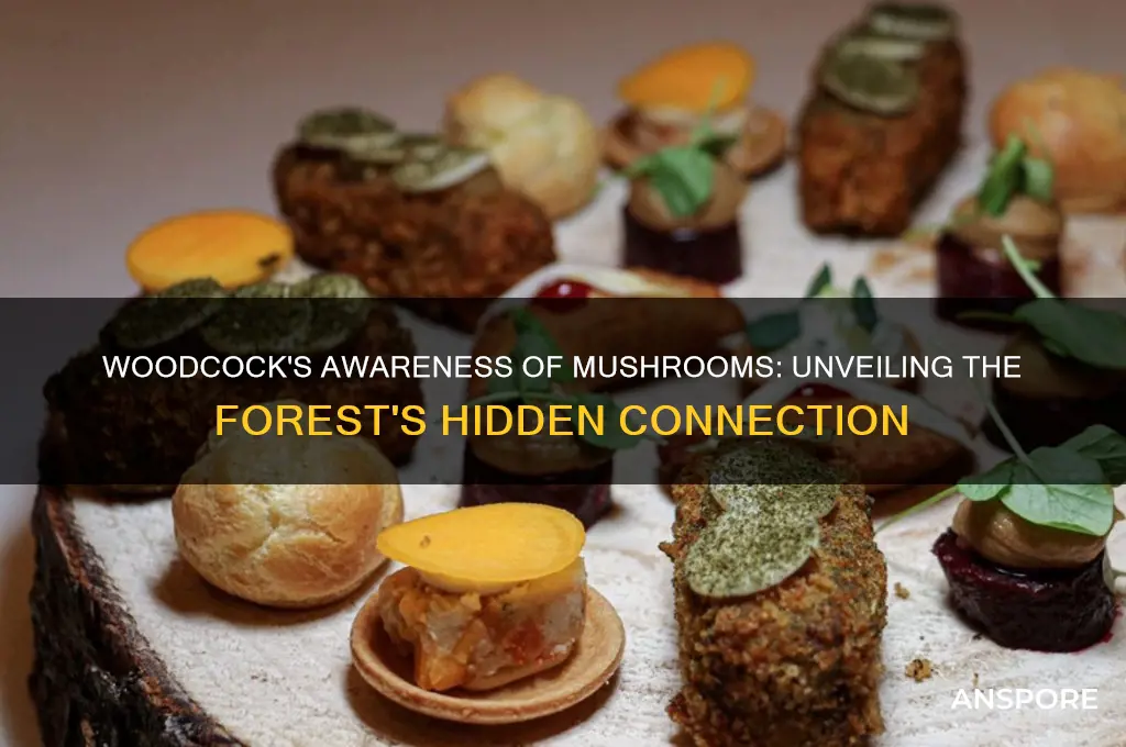 is woodcock aware of the mushrooms