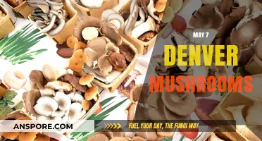 Denver's Mushroom Season: May's Magical 7-Day Bloom