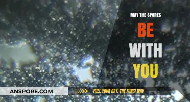 May the Spores Be With You: Exploring the Fascinating World of Fungi