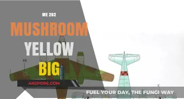 The Me 262: A Big, Bright Yellow Mushroom in the Sky