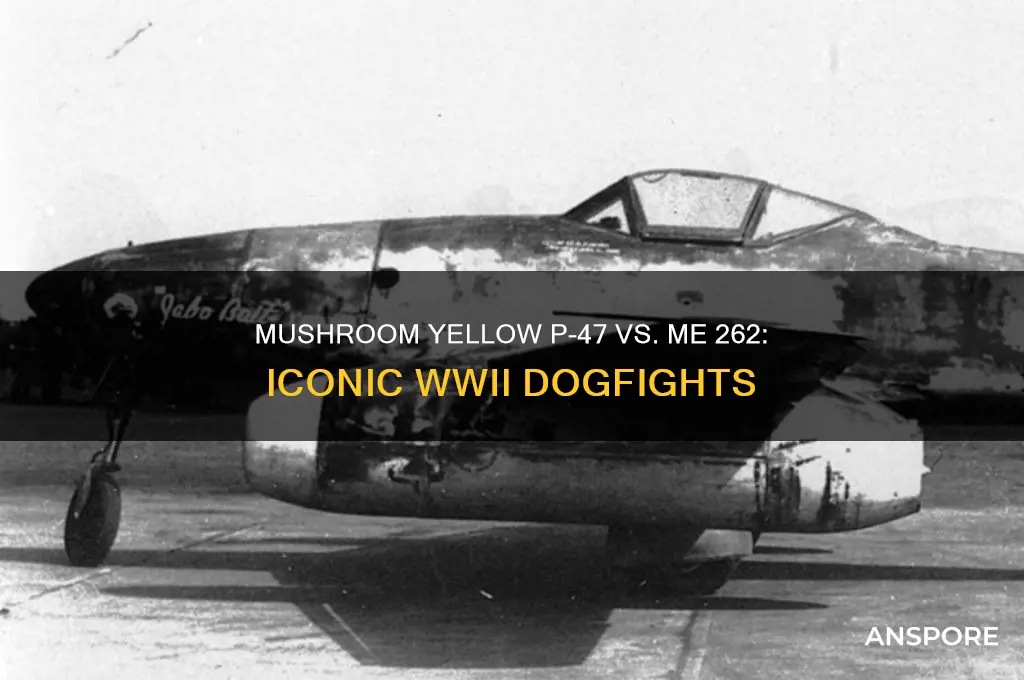 me 262 mushroom yellow p-47