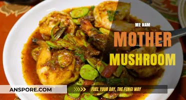 Mother Mushroom: The Fearless Voice of Vietnam