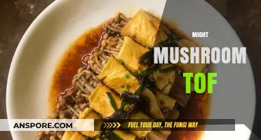 Mushroom Tofu: A Mighty Vegan Dish