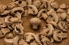 mushroom edible