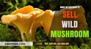 Certified Wild Mushroom Sales: Essential Requirements for Legal Foraging and Selling