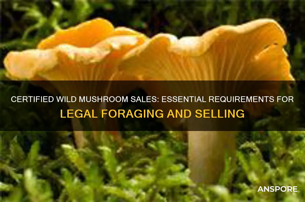 must be certified to sell wild mushrooms