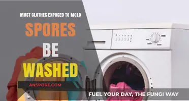 Moldy Clothes: Essential Washing Tips to Remove Spores Safely