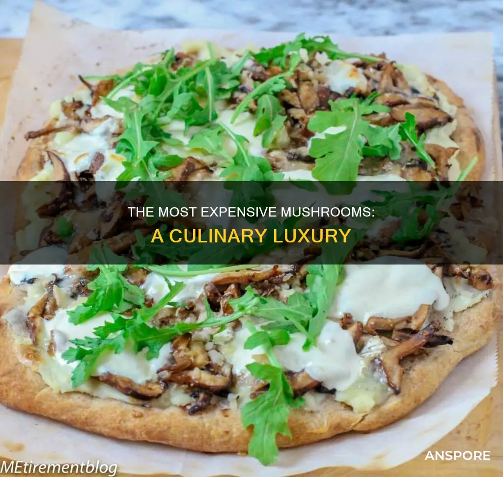 must expensive mushroom