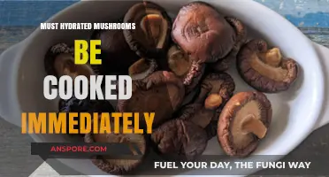 Hydrated Mushrooms: Immediate Cooking Required or Safe to Wait?