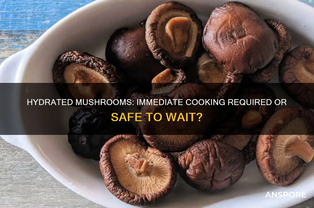 must hydrated mushrooms be cooked immediately