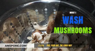 Cleaning Mushrooms: To Wash or Not?