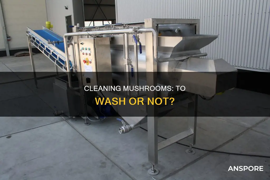 must i wash mushrooms
