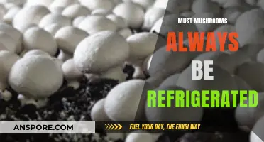 The Great Mushroom Storage Debate: Fridge or No Fridge?