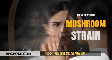 Mushroom Strains: The Most Powerful Varieties