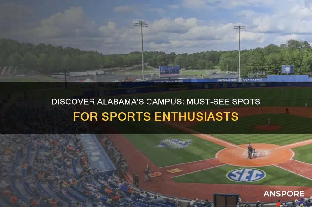 must see spors alabams campus