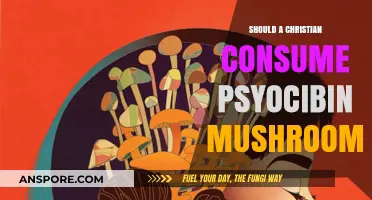 Christianity and Psychedelics: Exploring the Morality of Psilocybin Mushrooms