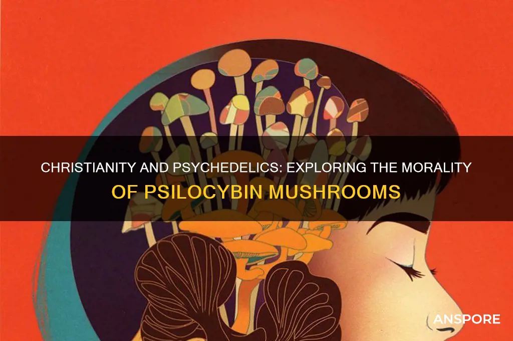 should a christian consume psyocibin mushrooms