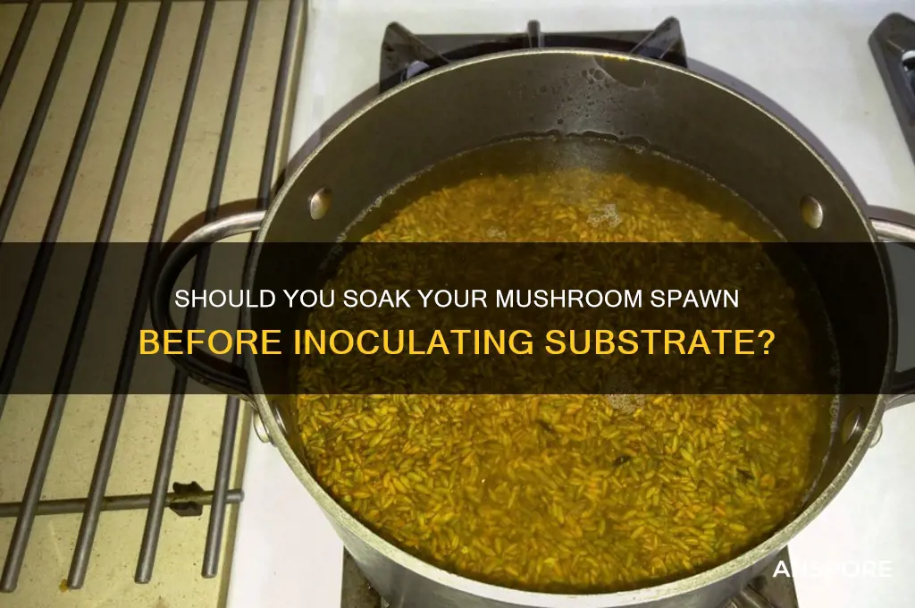 should a mushroom iit be soaked to start