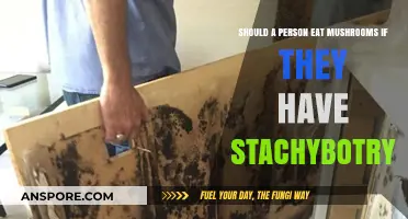 Mushrooms and Stachybotrys: Safe to Eat or Health Risk?