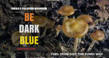 Is Dark Blue the Right Color for Psilocybin Mushrooms?