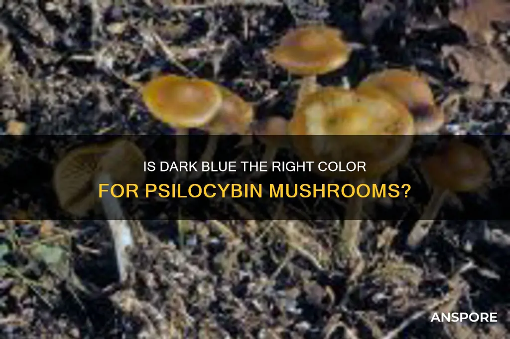 should a psilocybin mushroom be dark blue