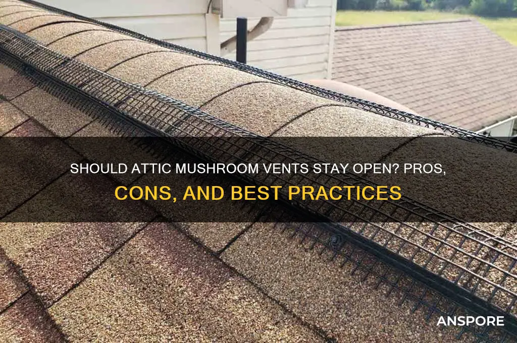 should attic mushroom vent remain open
