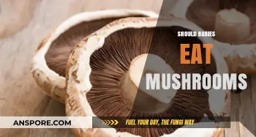 Can Babies Safely Eat Mushrooms? Nutrition Facts and Risks Explained