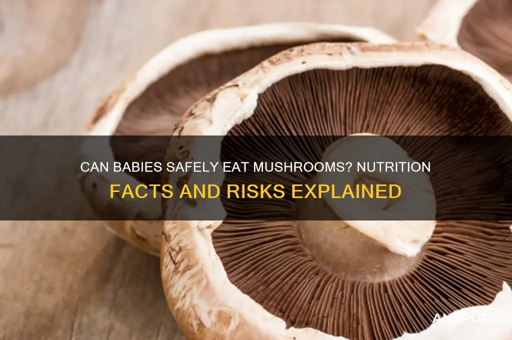 should babies eat mushrooms