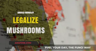 Berkeley's Mushroom Debate: Should Psilocybin Be Legalized for Therapeutic Use?