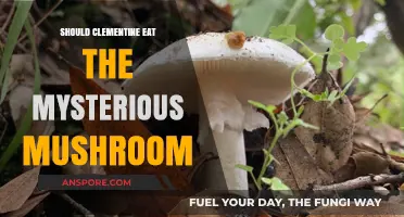 Should Clementine Risk Eating the Mysterious Mushroom? Pros, Cons, and Cautions