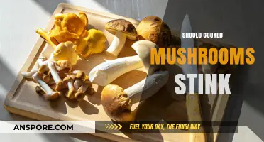 Do Cooked Mushrooms Smell Bad? Debunking the Stink Myth