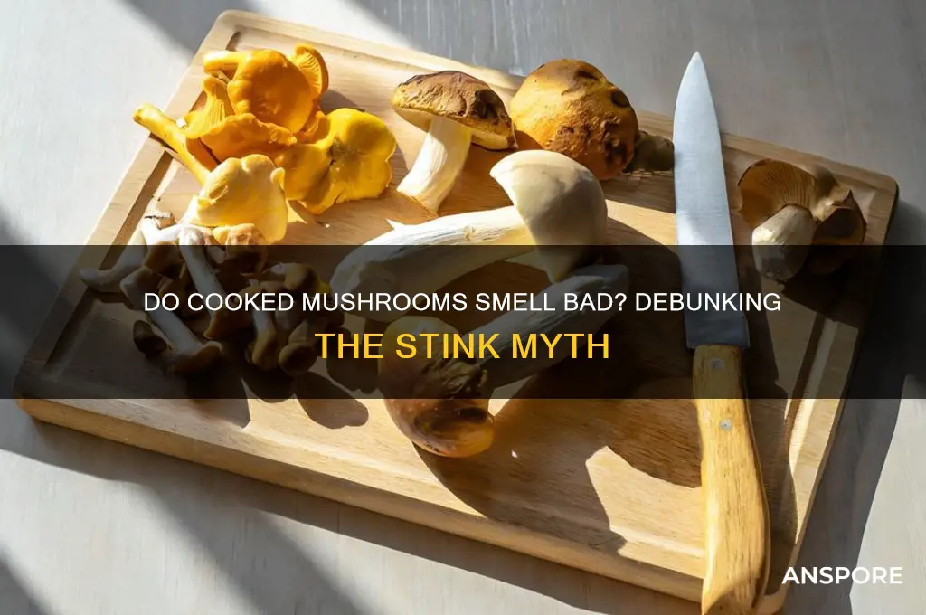 should cooked mushrooms stink