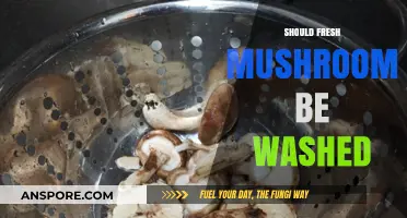 Washing Fresh Mushrooms: To Wash or Not to Wash?