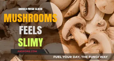 Are Slimy Fresh Sliced Mushrooms Safe to Eat?