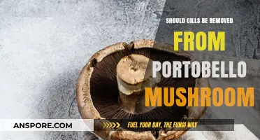 Should You Remove Gills from Portobello Mushrooms? Pros and Cons