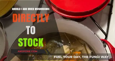 Adding Dried Mushrooms to Stock: Direct Method Pros and Cons