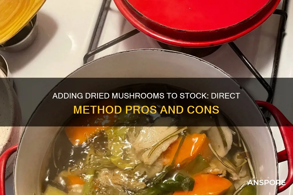 should i add dried mushrooms directly to stock