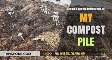 Can Old Mushrooms Boost Your Compost? A Fungal Decomposition Guide