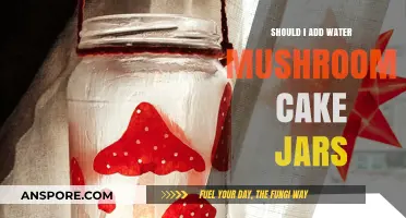 Should You Add Water to Mushroom Cake Jars? A Guide
