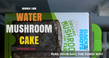 Should You Add Water to Mushroom Cake? A Culinary Debate