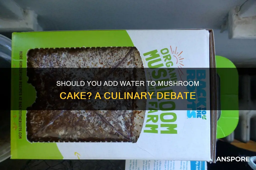 should i add water mushroom cake