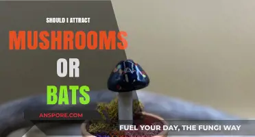 Mushrooms vs. Bats: Which Should You Attract to Your Garden?